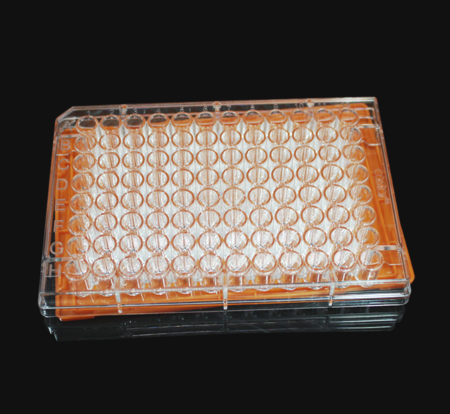 96孔酶标板，透明平底，高结合力