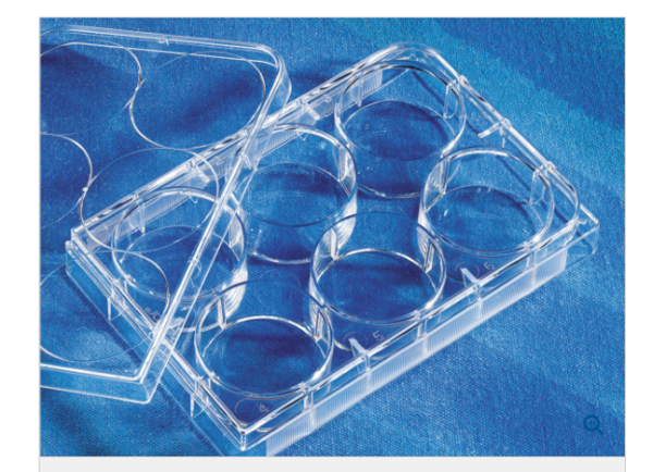 6孔细胞培养板